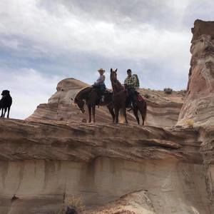 Meet your Posher, Dawn